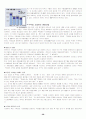 국제경영 사례발표 - 로만손 38페이지