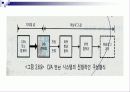 변환기(A/D D/A) 5페이지