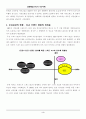 sk텔레콤의 광고전략 3페이지