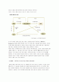 (이동통신사업)모바일 결제시스템에 대한 연구 11페이지