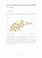 국민은행 경영전략 43페이지