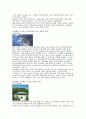 부산의 공원과 각각의 문제점및 해결방안 3페이지