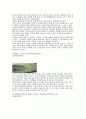 부산의 공원과 각각의 문제점및 해결방안 4페이지
