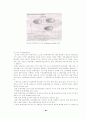 중국시장에서 삼성전자와 lg전자비교 24페이지