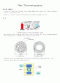 가스크로마토그래피 1페이지