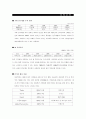 삼성전자 경영전략 분석 16페이지