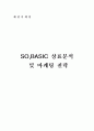 [패션마케팅] 패션브랜드분석-쏘베이직(SO,BASIC) 1페이지