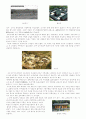 불교건축의 역사-시대별 사찰 건축(고구려~조선,다양한이미지자료) 3페이지