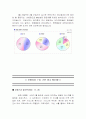 프로스펙스의 마케팅 39페이지