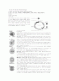 cell cycle 측정 및 sister chromatid exchange 1페이지