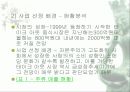 창업계획서(테이크 아웃) 4페이지