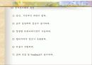 한국의 전자상거래 전망 7페이지