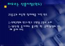 코카콜라와 정치,경제적 위험 6페이지