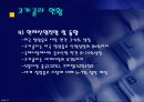 코카콜라와 정치,경제적 위험 12페이지