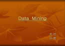 데이터 마이닝 (data mining) 1페이지