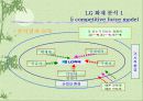 LG화재의 경쟁력 제고방안 30페이지