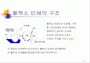 플랙소 인쇄 5페이지