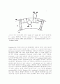 노화억제를 위한 황산화제연구 13페이지