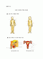 성교육(건전한 성의식 함양을 위한 집단상담프로그램) 12페이지