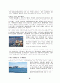 해양오염 정의,실태,대책 5페이지