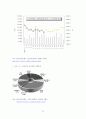 환율변동에 따른 국내 중소무역업체의 환리스크 관리전략에 관한 연구 55페이지