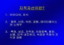 지적 자산의 관리 4페이지