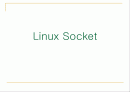 리눅스 소켓 (Linux Socket)에 대하여 1페이지