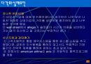 United 항공사의 다각화 실패- 경영 전략 발표 8페이지