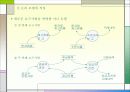 구조적 시스템 분석 절차와 신논리 모델의 작성 5페이지