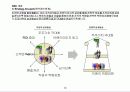 균형성과표 (BSC ; Balanced Scorecard) 에 대한 개념과 이해 17페이지