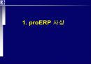 proERP 사상과 도입 절차 방법, 그리고 통합에 관한 분석 3페이지