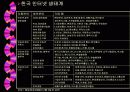 인터넷 비즈니스 모델 8페이지