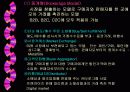 인터넷 비즈니스 모델 17페이지