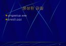 Powerpoint(파워포인트) 21페이지