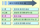 성교육 19페이지