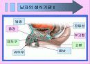 성교육 20페이지