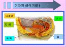 성교육 23페이지