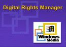 마이크로 소프트 윈도우 미디어 프로그램의 디지틀 기술과 분석 3페이지
