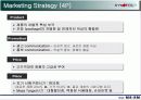 자일리톨 껌의 시장 진입 전략과 마케팅 및 경쟁전략 분석 17페이지