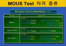 컴퓨터 자격 시험-MICRO SOFT`S MOUS TEST 에 관한 분석과 이해 11페이지