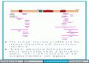 Histone modification 연구의 역사 14페이지