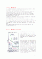 방사성 폐기물의 종류와 그 처리방식 1페이지