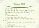 경영계획 / 경영조직 15페이지