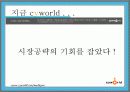 싸이월드의 관계마케팅과 전략 제안 7페이지