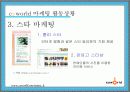 싸이월드의 관계마케팅과 전략 제안 16페이지