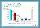 싸이월드의 관계마케팅과 전략 제안 20페이지