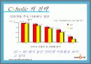 싸이월드의 관계마케팅과 전략 제안 21페이지