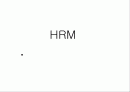 HRM-전략적 인적자원관리시스템 완전 분석 1페이지