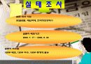 스톡옵션의 활성화방안에 관한 연구-도입 배경 및 각국의 사례 그리고 한국 16페이지
