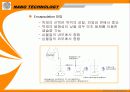 나노 테크놀로지-나노캡술을 이용한 기술 응용과 발전 전망 및 각국의 사례 17페이지